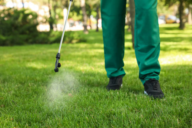 Best Residential Pest Control  in Hopwood, PA