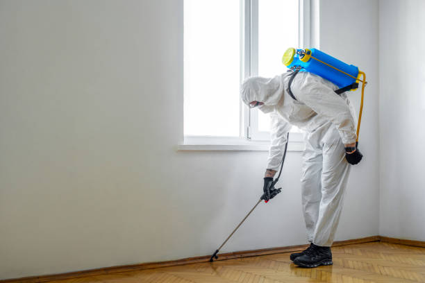 Best Local Pest Control Services  in Hopwood, PA