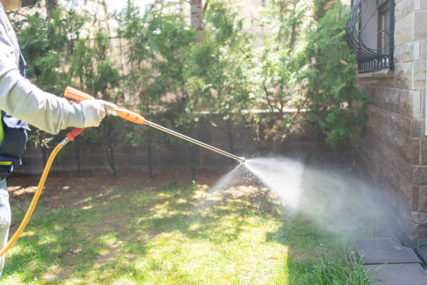 Trusted Hopwood, PA Pest Control Experts