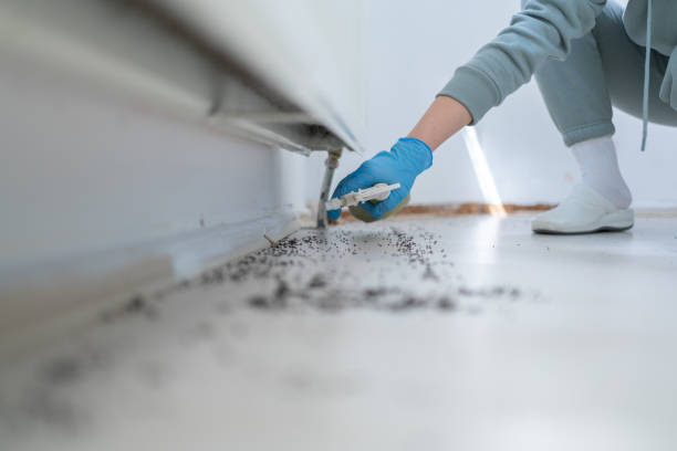 Best Exterminator Services  in Hopwood, PA